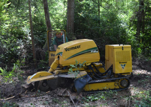 Tacoma stump grinding